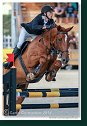 Grand Prix Napoli