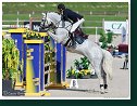 Grand Prix Napoli