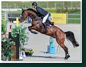 Grand Prix Napoli