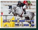 Silver Tour Final 