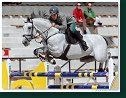 Silver Tour Final 