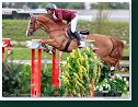 Grand Prix of Samorin