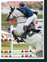 Grand Prix of Samorin