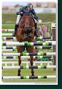 Grand Prix of Samorin