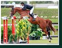 Grand Prix of Samorin