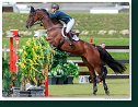 Grand Prix of Samorin