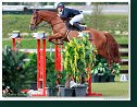 Grand Prix of Samorin