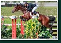 Grand Prix of Samorin