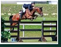 Grand Prix of Samorin