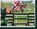 Grand Prix of Samorin