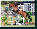 Grand Prix of Samorin
