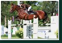 OCEANE DE LA TAILLE CH - BUSSMANN Evelyne, SUI