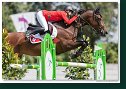 OCEANE DE LA TAILLE CH - BUSSMANN Evelyne, SUI