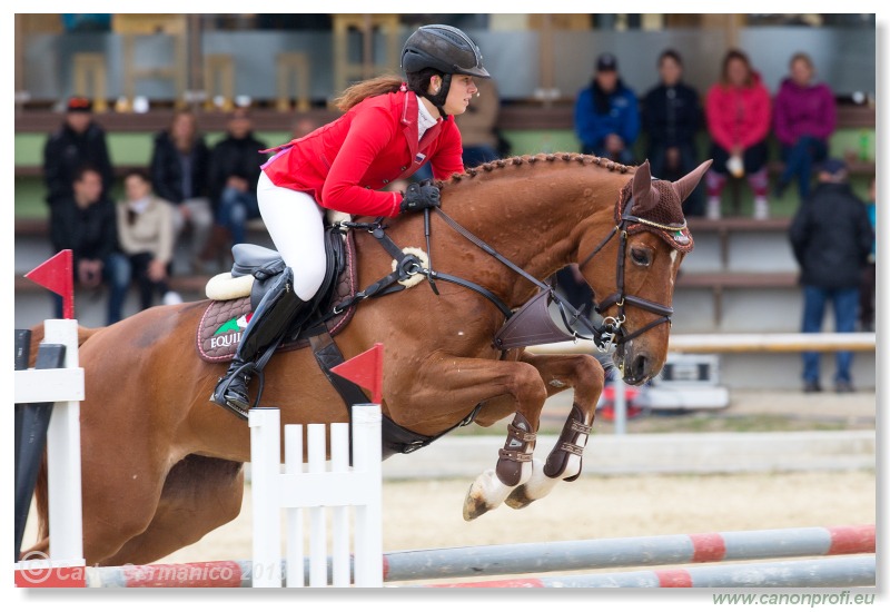 LINDE Grand Prix CSI* Pezinok