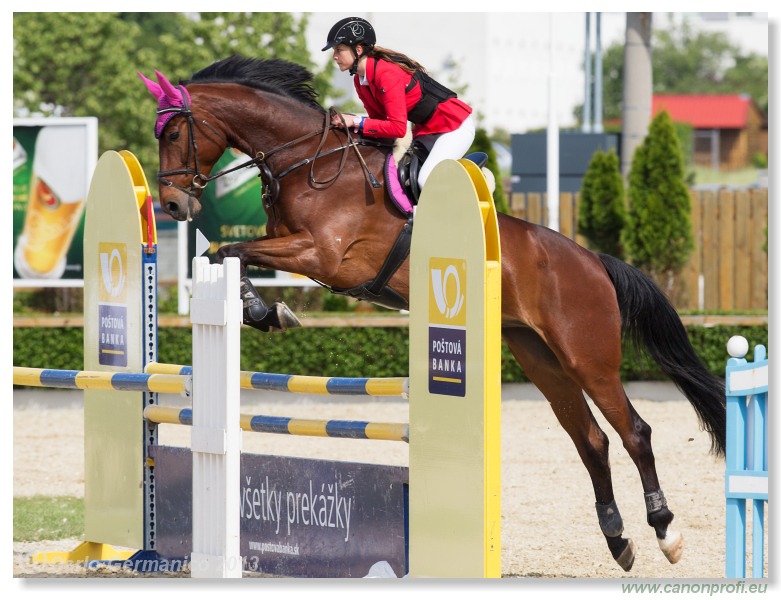LINDE Grand Prix CSI* Pezinok