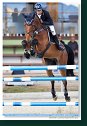 Big Tour -2nd qualifier