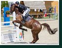 Junior Grand Prix