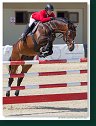Junior Grand Prix