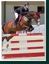 Junior Grand Prix