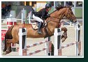 Junior Grand Prix