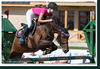 Grand Prix CSI2* o malokarpatský strapec