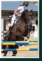 Young horses Tour – 6 and 7 year old