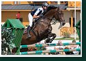 Young horses Tour – 6 and 7 year old