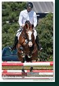 Young horses Tour – 6 and 7 year old