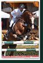 Young horses Tour – 6 and 7 year old