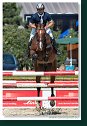 Young horses Tour – 6 and 7 year old