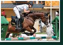 Young horses Tour – 6 and 7 year old