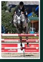 Young horses Tour – 6 and 7 year old