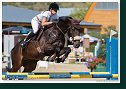 Young horses Tour – 6 and 7 year old
