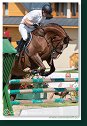 Young horses Tour – 6 and 7 year old