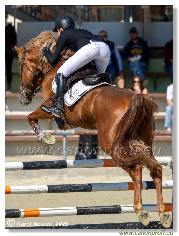 Rozlka Grand Prix 2025 - 1. kolo  -  125cm