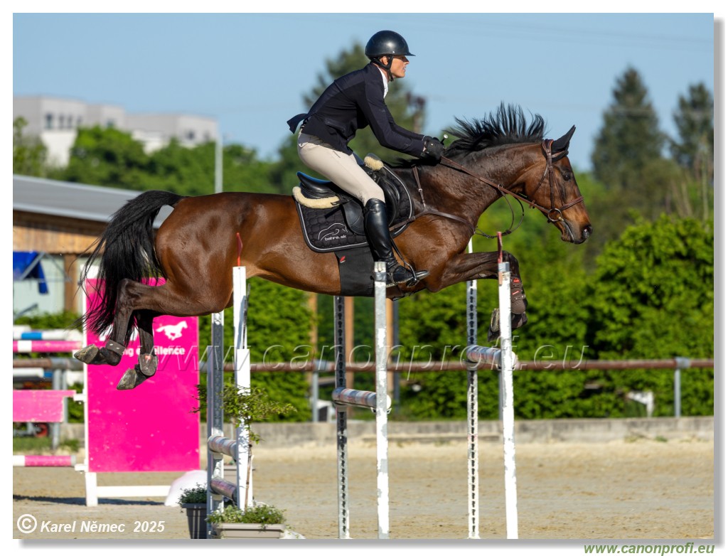 Rozlka Grand Prix 2025 - 1. kolo  -  130cm