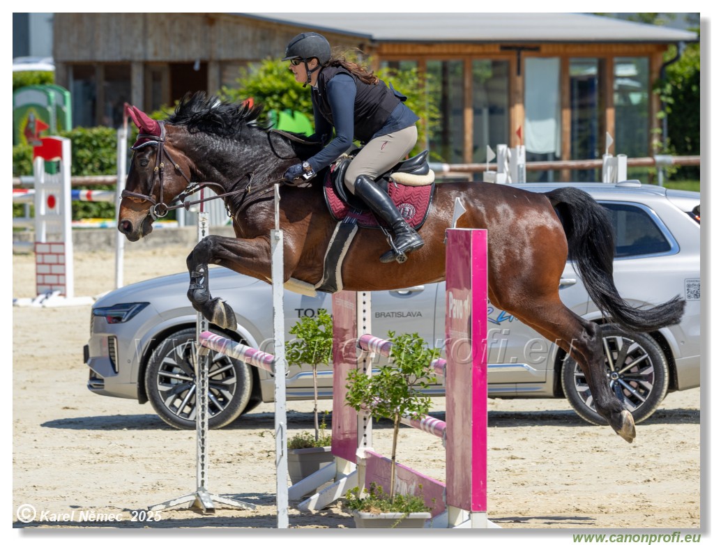 Rozlka Grand Prix 2025 - 2. kolo  -  115 cm