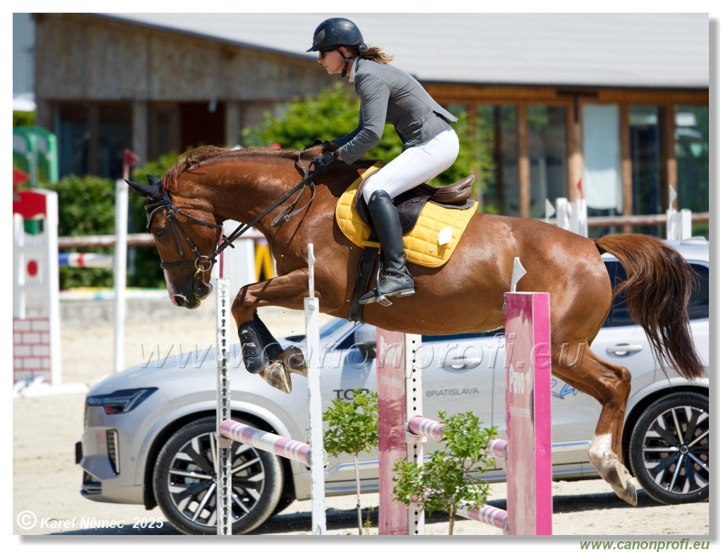 Rozlka Grand Prix 2025 - 2. kolo  -  115 cm