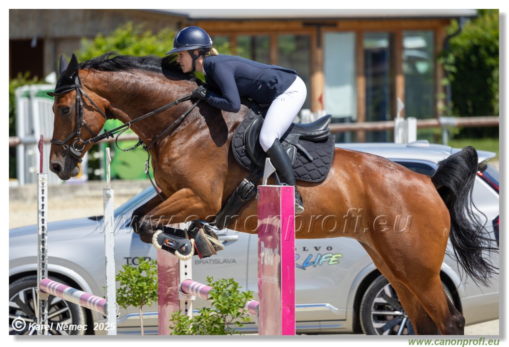 Rozlka Grand Prix 2025 - 2. kolo  -  115 cm