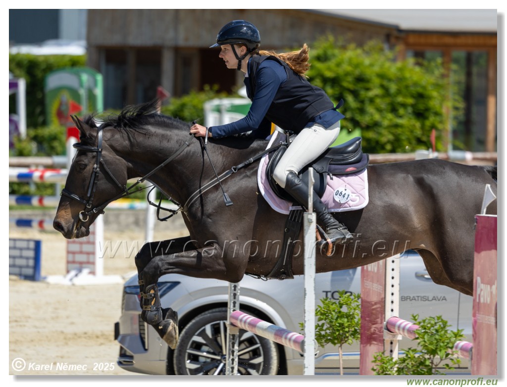 Rozlka Grand Prix 2025 - 2. kolo  -  115 cm