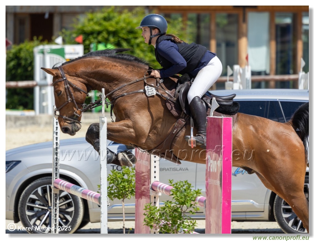 Rozlka Grand Prix 2025 - 2. kolo  -  115 cm