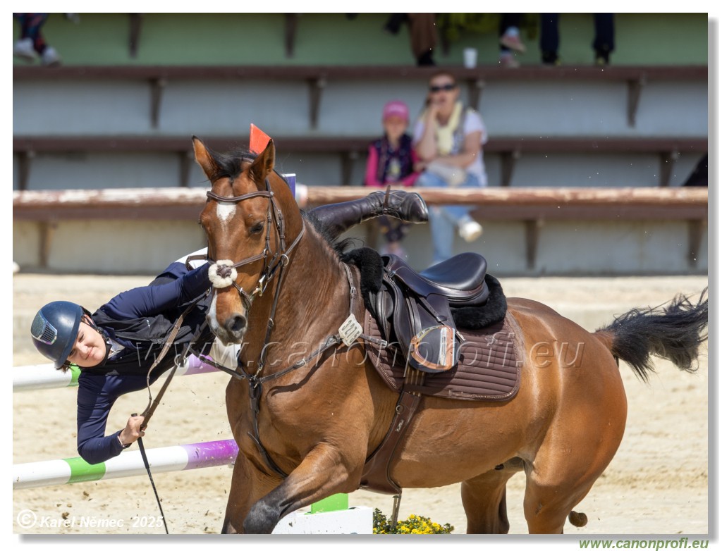 Rozlka Grand Prix 2025 - 2. kolo  -  115 cm