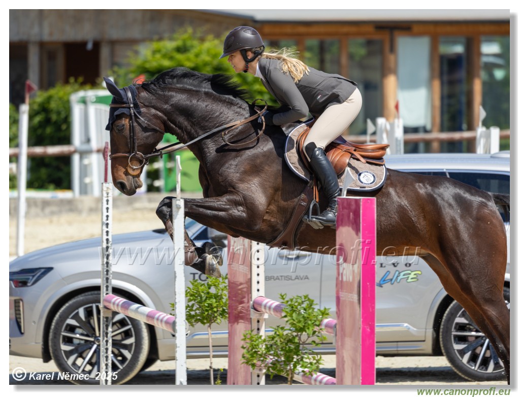 Rozlka Grand Prix 2025 - 2. kolo  -  115 cm