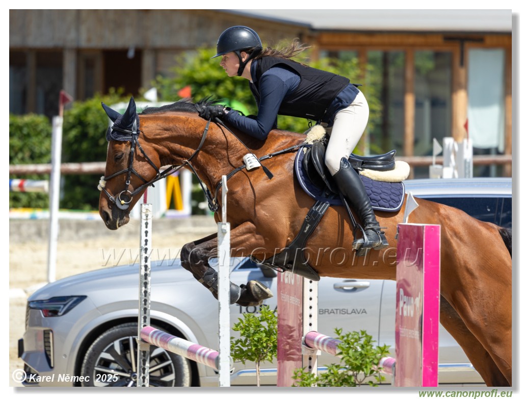 Rozlka Grand Prix 2025 - 2. kolo  -  115 cm