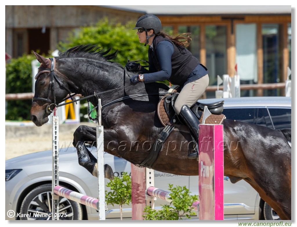 Rozlka Grand Prix 2025 - 2. kolo  -  115 cm