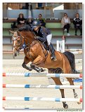 Gollvitzerov Tereza  -  BALOUNA VANT KRUIS Z 