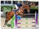 Borbov Laura  -  ONE STAR V 