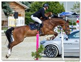Bucov Duan Miloslav  -  COCO BALOU VDB Z 