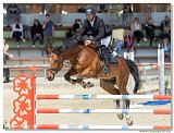 Bucov Duan Miloslav  -  COCO BALOU VDB Z 