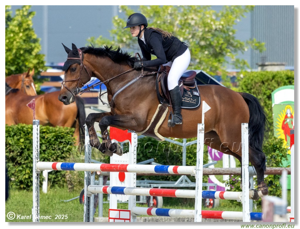 Rozlka Grand Prix 2025 - 2. kolo  -  130 cm